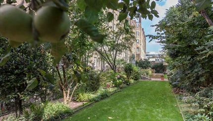 Pelham Court - Residents private garden